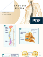 Exp. de Columna