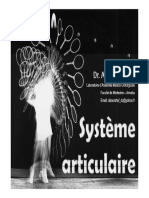 03 - Système Articulaire