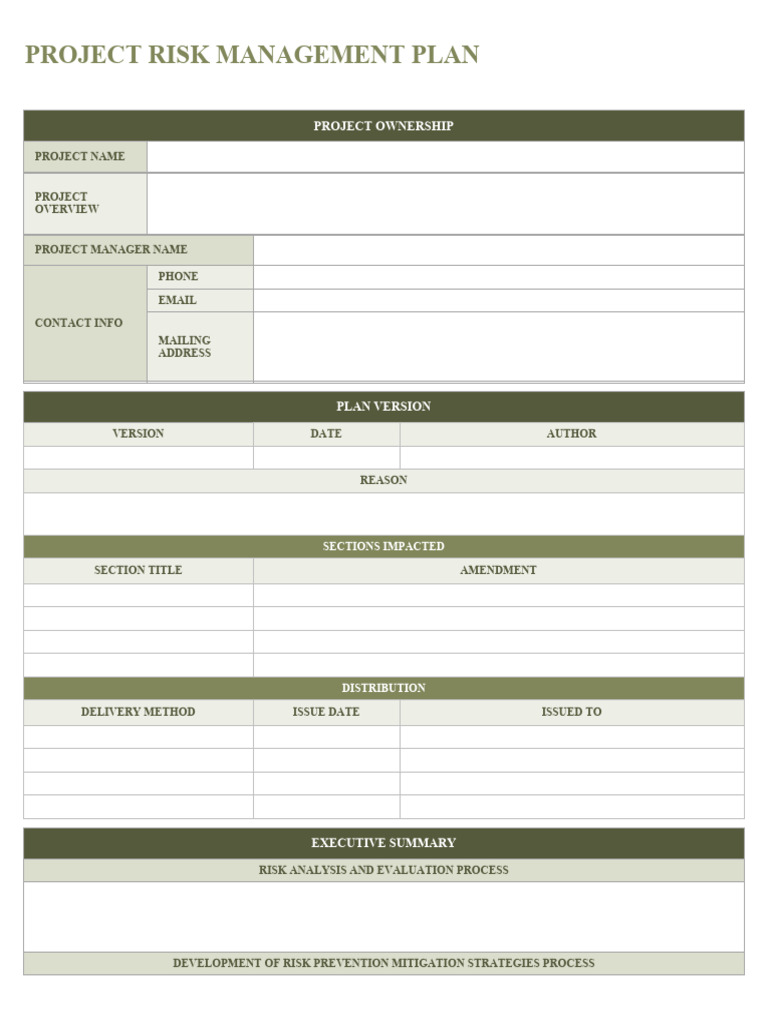 IC Project Risk Management Plan 8986 | PDF | Risk | Risk Management