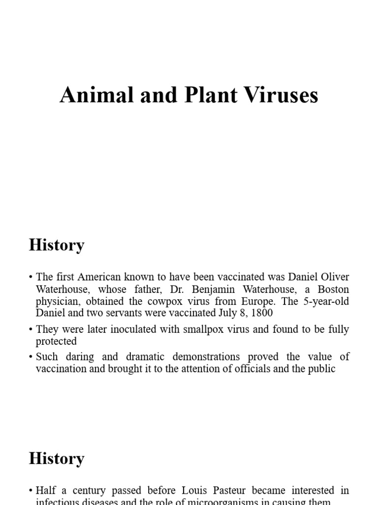 L18 Animal and Plant Viruses PDF Virus Rna