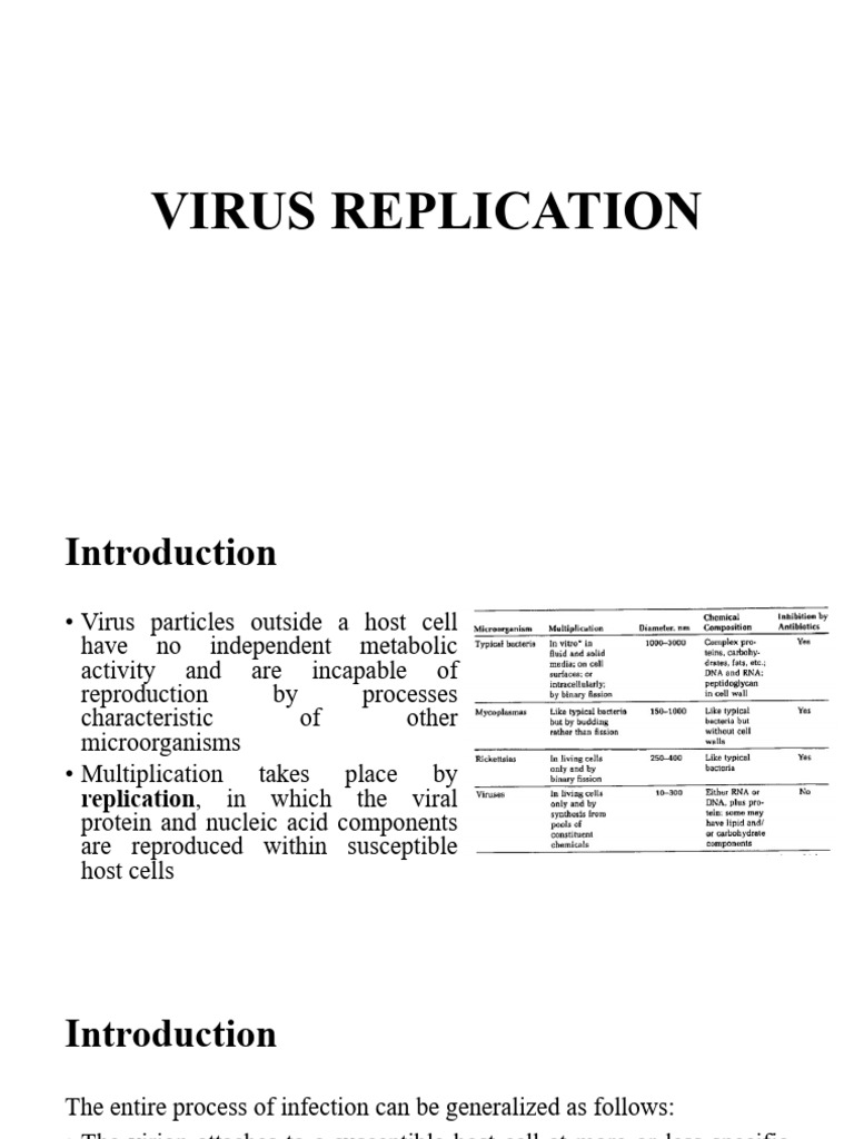 Virus Replication Overview | PDF | Virus | Rna