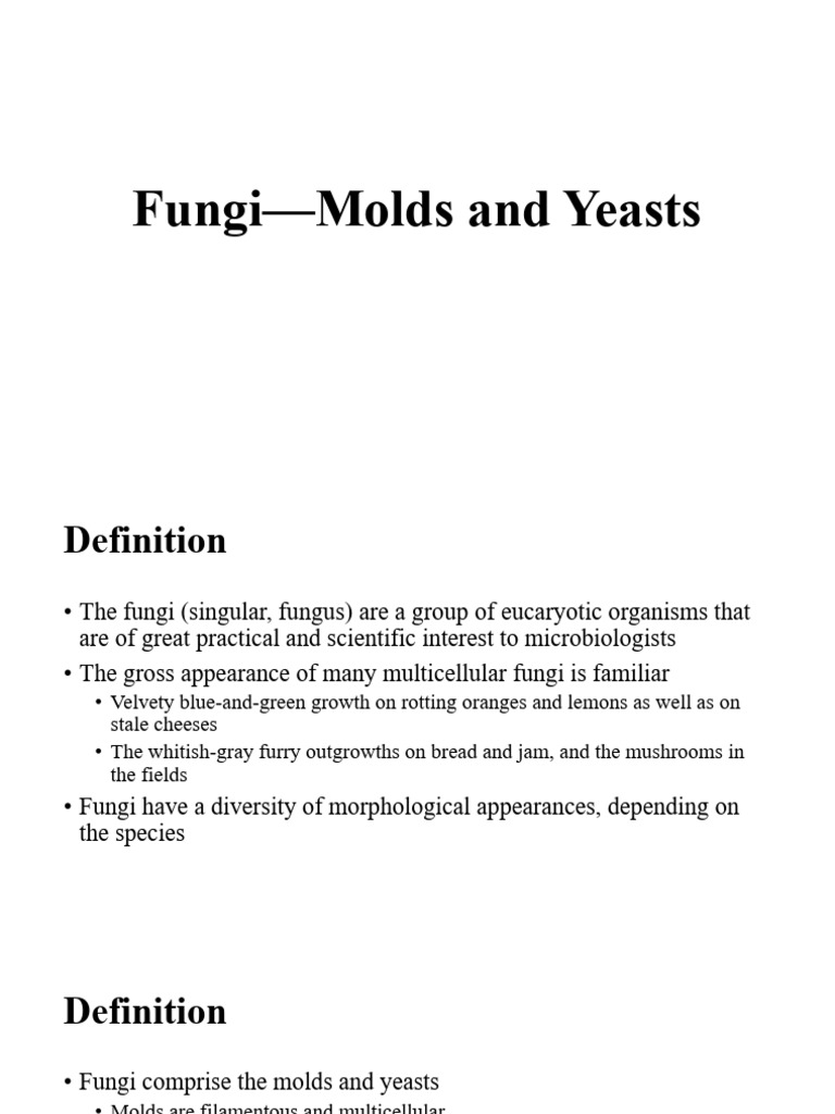 Fungi: Molds and Yeasts Overview | PDF | Fungus | Mold