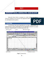 06 I.2.1 Microsoft Excel. Generalitati. Baze de Date