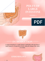 Polyps of Large Intestine