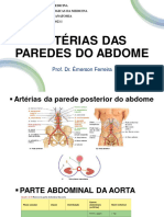 S5 - UCV XV - Anatomia - Aula 2 - Vascularização Do Abdome