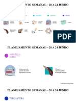 PLANEJAMENTO SEMANAL - 20 A 24 Junho