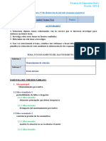 l6 - Redacción de Párrafo (Esquema Numérico) - 1