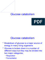 Cells and Sugars 4-Sugars As Energy-Student