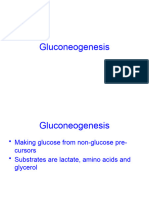 Cells and Sugars 7-Gluconeogenesis-Student