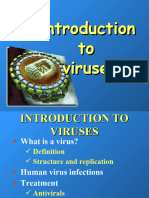 2 - Introduction To Viruses
