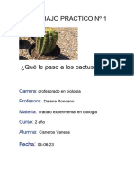 Informe Experimento Con Cactus