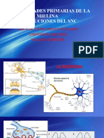 Enfermedades Primarias de La Mielina - E Infecciones Del Sistema Nervioso Central.