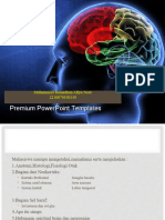 Anatomi Otak PP