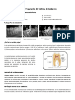 Notas Clase 3 Endodoncia