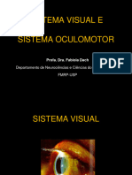 Sistema Visual e Oculomotor