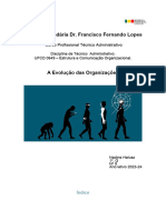 Cópia de 1º. Trabalho - Evolução Das Organizações Nadine Haivaz