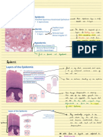 Histology 2