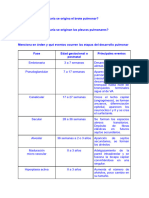 Embriología Del Sistema Respiratorio