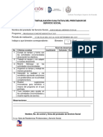 Auto-Evaluacion Cualitativa Del Prestador de Servicio Social Imp