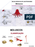 Molusco - Cafalpodes - Lula e Polvo