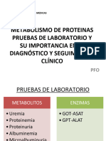 Metabolismo de Proteinas 2023