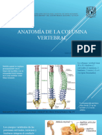 Anatomia de La Columna Vertebral