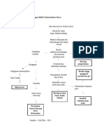 Penyimpangan KDM Tuberkulosis Paru