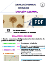 Reproduccion Asexuada - 2020