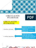 Circulación Pulmonar