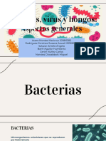 Bacterias, Virus y Hongos - Aspectos Generales