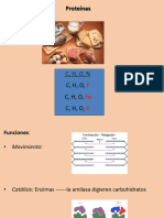 Proteinas y Acidos Nucleicos