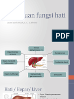 Gangguan Fungsi Hati