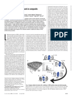 Dynamics of Particle Network in Composite Battery Cathodes