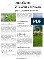 Campo News - Primeira Edição