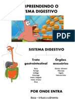 Sistema Digestivo Aula