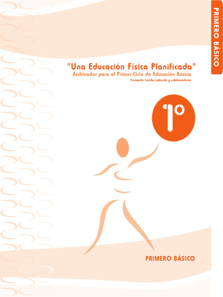 Planificación Educación Física 1 Básico Pdf