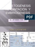 Gametosfecunimplantyembrio 090808015303 Phpapp02