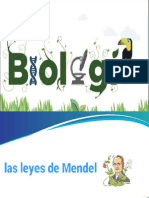 Biología Leyes De. Mendel 2024