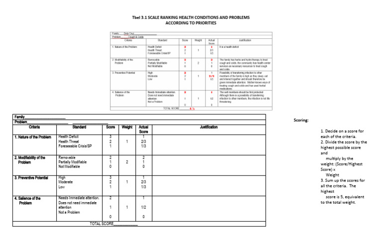 Health Condition Priority Ranking | PDF