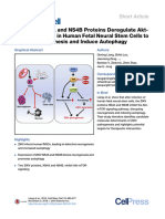 Zika Virus NS4A and NS4B Proteins Deregulate Akt-mTOR Signaling in Human Fetal Neural Stem Cells To Inhibit Neurogenesis and Induce Autophagy PDF