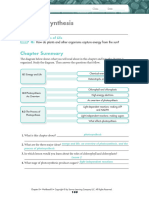 Photosynthesis Workbook