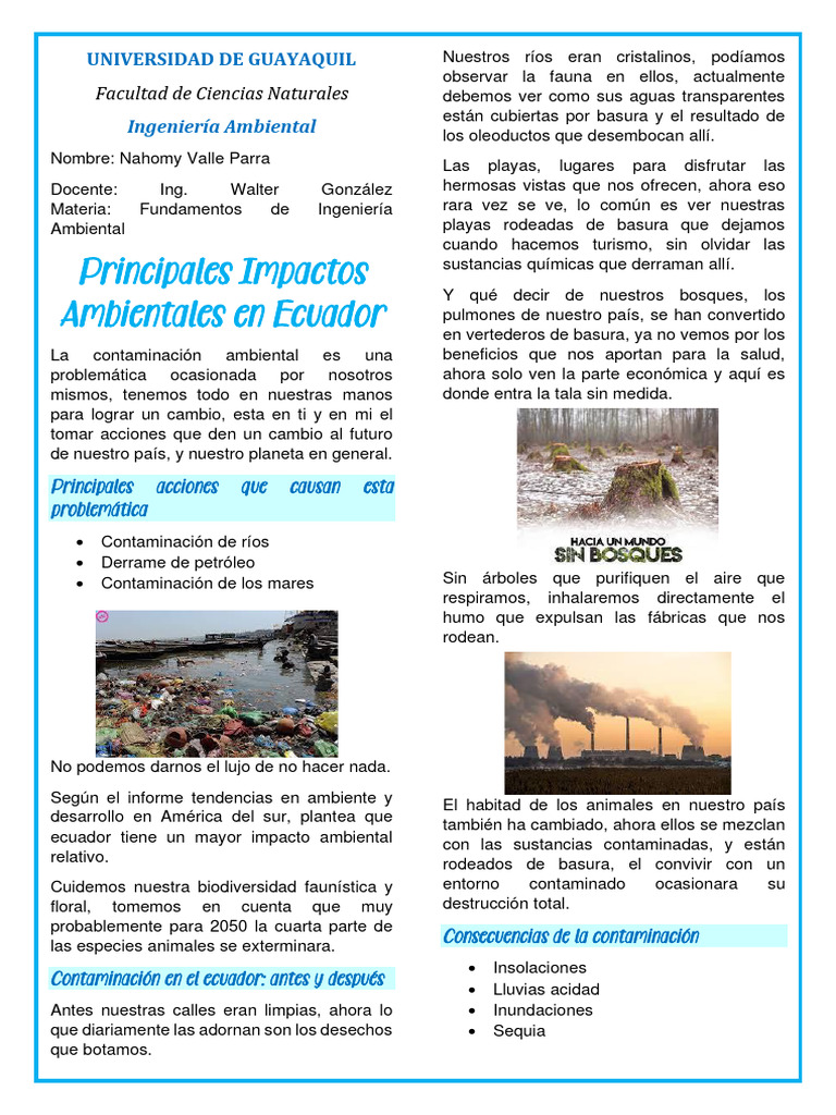 Impactos Ambientales en Ecuador | PDF | Entorno natural | Contaminación