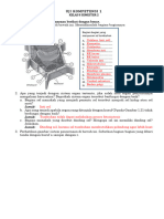 Uji Kompetensi 1 Kelas 7 Bab 1