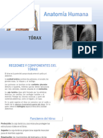 Anatomia Humana Cap 10 PARED TORAXICA Y CAVIDAD TORAXICA