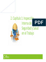 Capítulo 1: Inspección Interna de Seguridad y Salud en El Trabajo