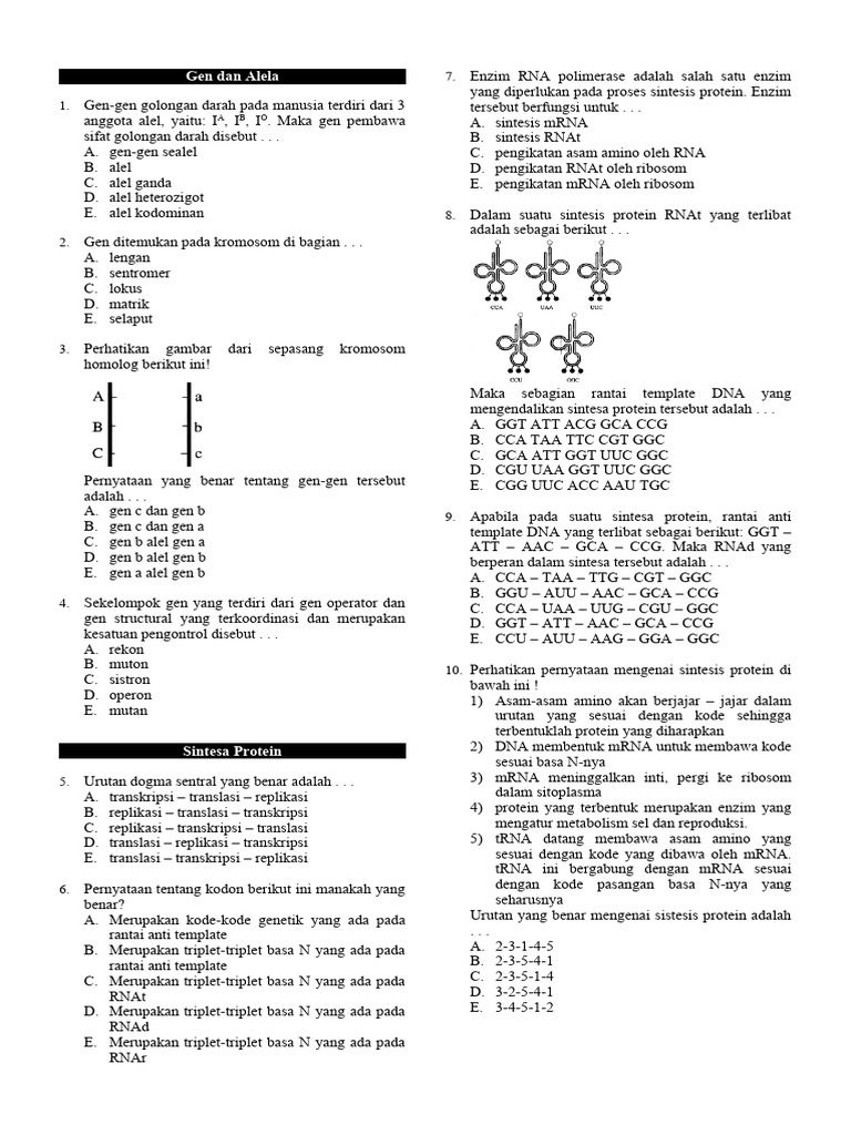 Gen dan Sintesis Protein Kelas 12 | PDF | Sains & Matematika
