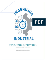 Ingenieria Industrial