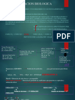 Unidad 15 Oxidaciones