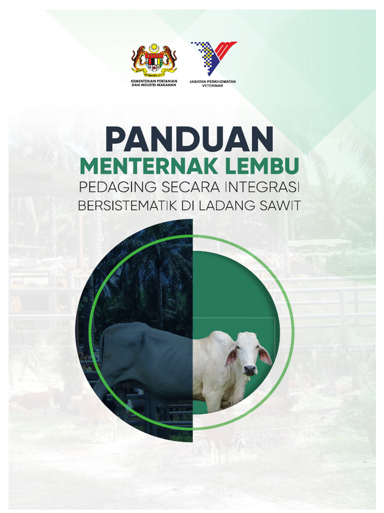 Panduan Penternakan Lembu Pedaging | PDF