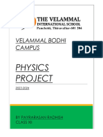 Physics Project PDF